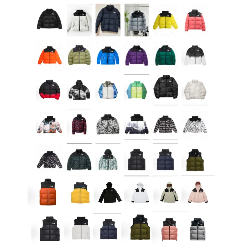 No1rthern down jacket (30)